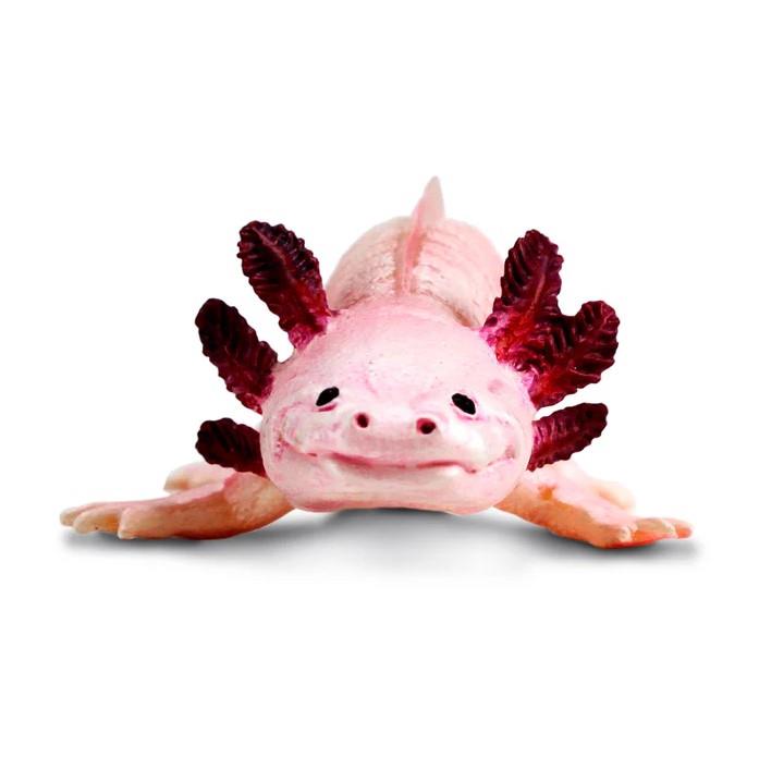 Safari Ltd. Axolotl