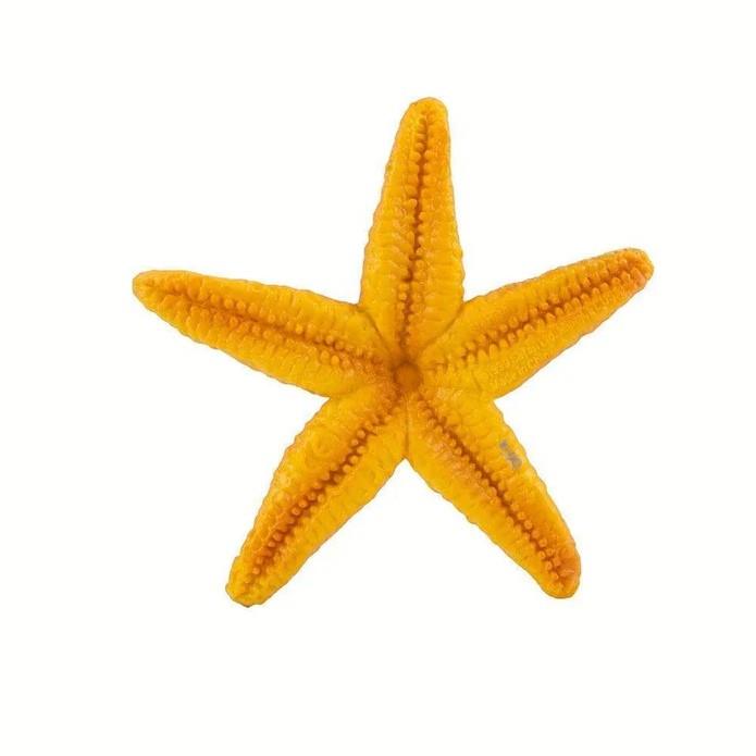 Safari Ltd. Orange Starfish