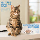 Inaba Twin Packs Tuna & Chicken Recipe in Tuna Broth 80g