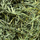 Round Lake Farm Timothy & Orchard Grass Hay Blend