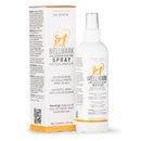 Wellmark Chlorhexidine Spray 237ml