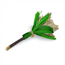 Prevue Pet Products Applewood Rose Chew Stick