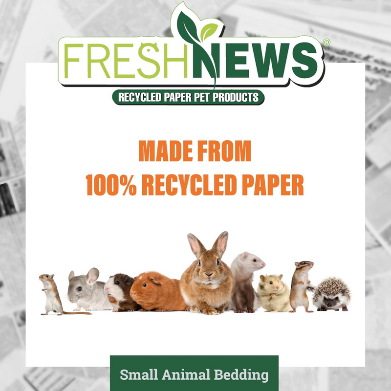 Fresh News Small Animal Bedding