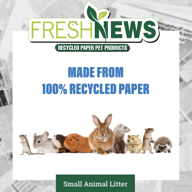 Fresh News Small Animal Litter