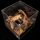 Tarantula Cribs 12" Tarantula Cube
