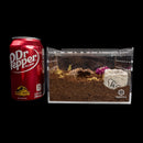 Tarantula Cribs Small Slider Crib