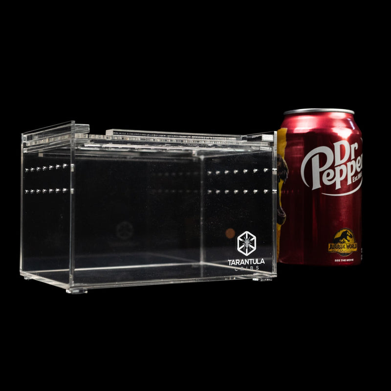 Tarantula Cribs Small Slider Crib