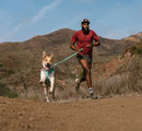 Ruffwear Hi & Light Harness