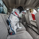 Kurgo Direct to Seatbelt Tether