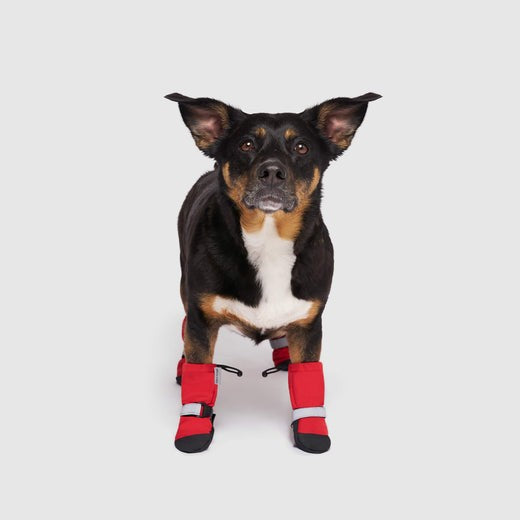 Canada Pooch Soft Shield Boots