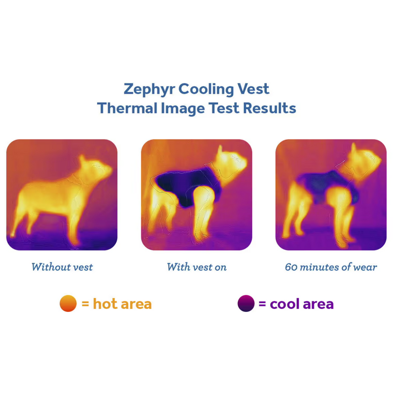 RC Pets Zephyr Cooling Vest - Toucan