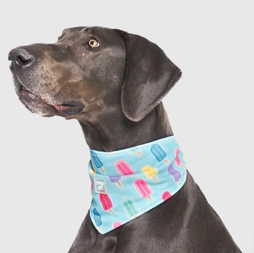 Canada Pooch Chill Seeker Cooling Bandana