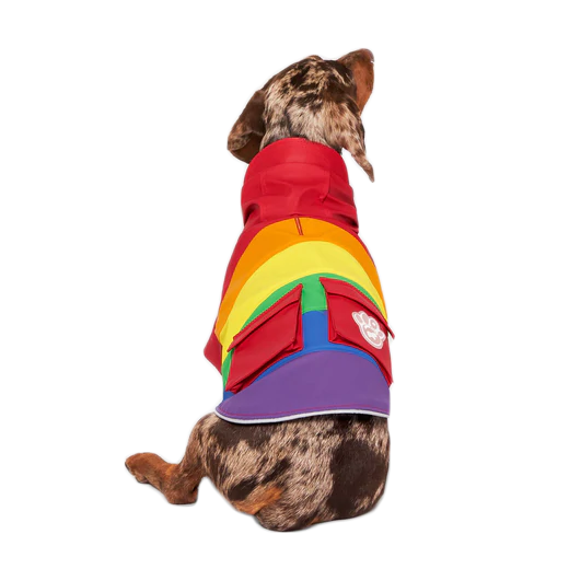 Canada Pooch Torrential Tracker Raincoat