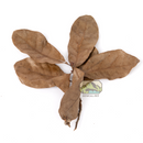 NewCal Pet Water Oak Leaf Litter 1.5oz