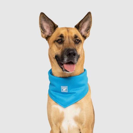 Canada Pooch Chill Seeker Cooling Bandana - Blue