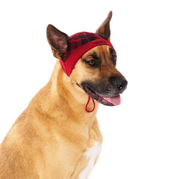 Canada Pooch Red Plaid Printed Beanie