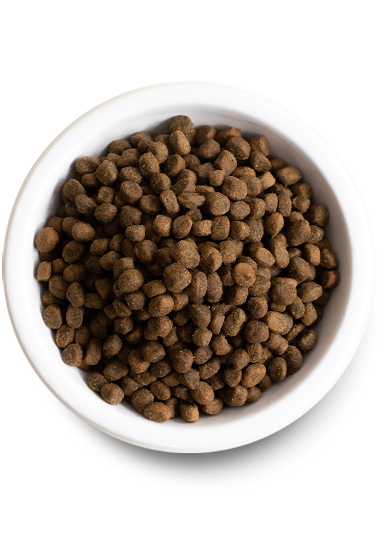 Open Farm Kind Earth Plant Kibble Recipe | Pisces