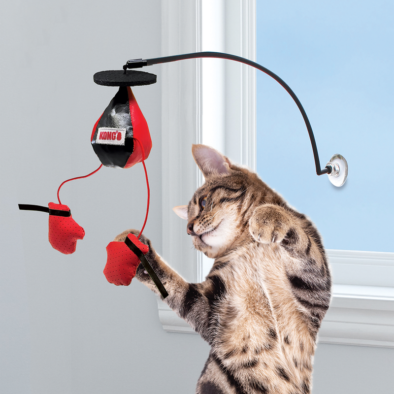 Kong Connects Window Boxing for Cats