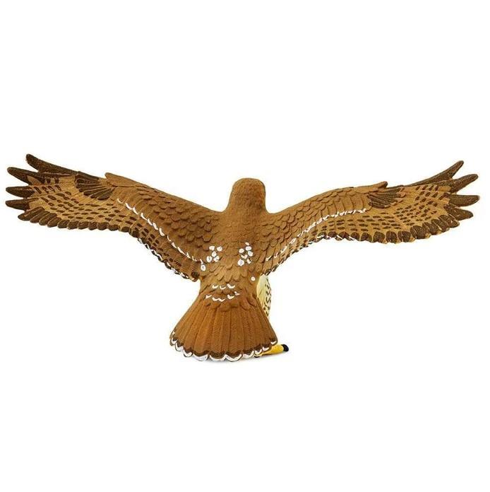 Safari Ltd. Red Tailed Hawk