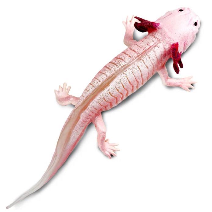 Safari Ltd. Axolotl