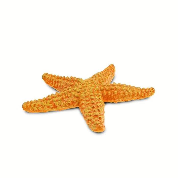 Safari Ltd. Orange Starfish