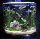 Peter's Premium Aquarium Substrate - Oliver Creek