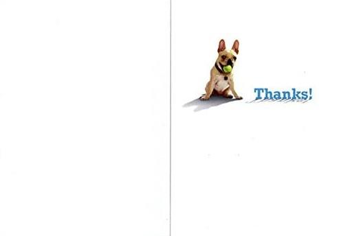 Avanti French Bulldog with Ball Thank You Card