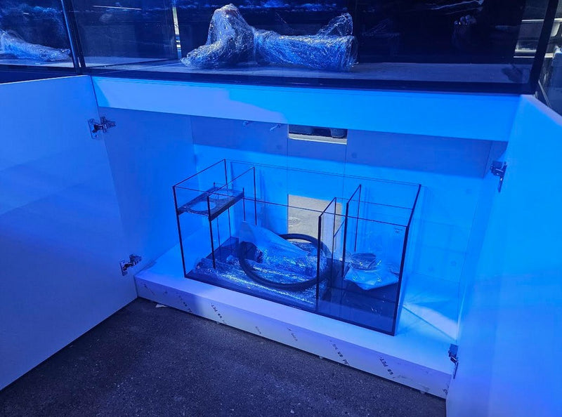 Peter's Aquaverse Aquarium Set - Multiple Sizes Available