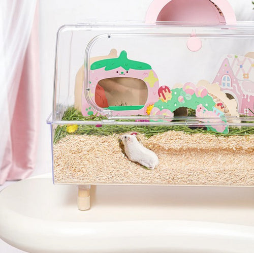 Mini Moe Viewing Cage