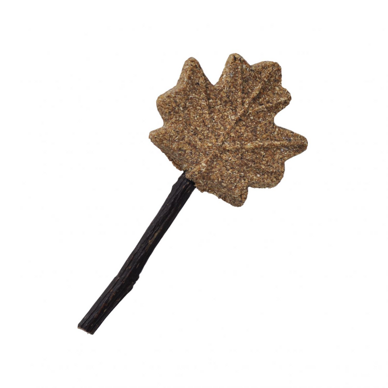 Prevue Pet Products Lollipop Maple Leaf Chew Stick