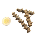 Peter's Botanicals Banana Stems