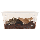 Zoo Med Creatures Roly-Poly Kit – Isopod Habitat