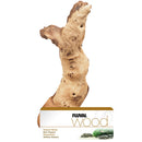 Fluval Mopani Driftwood - Large