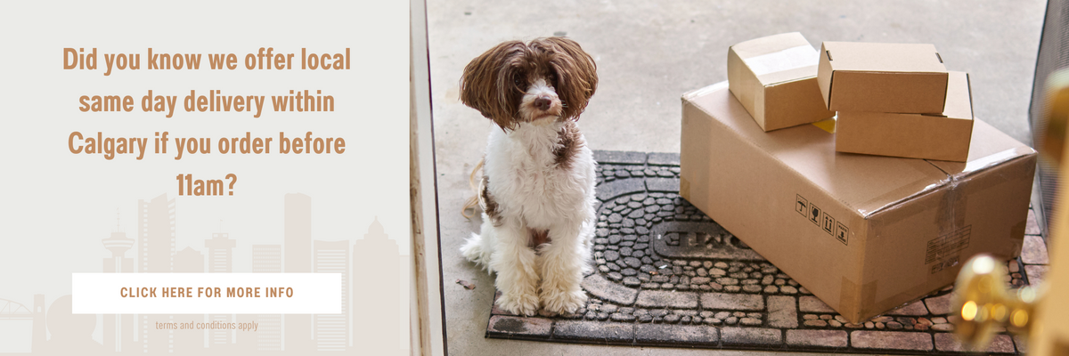 Dog best sale accessories calgary