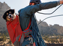 Ruffwear Hitch Hiker Dog Backpack Carrier