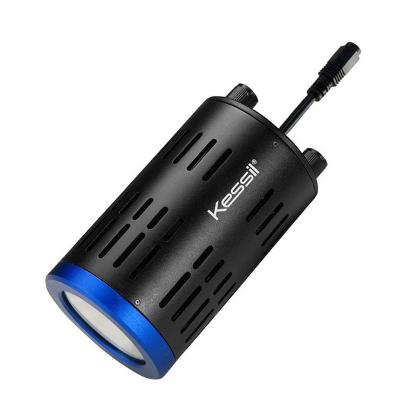 Kessil A160WE Tuna Blue