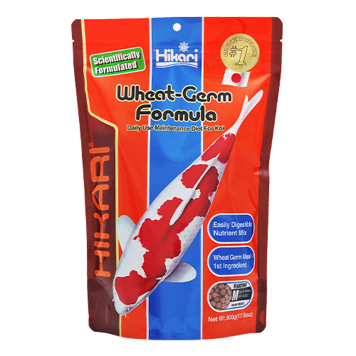 Hikari Wheat-Germ Formula - Medium Floating Pellet