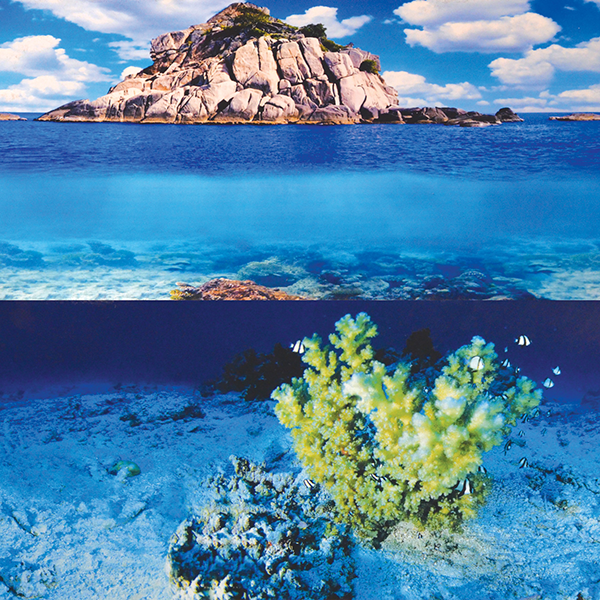Underwater Treasures Yellow Coral/Waves Stone Reversible Background