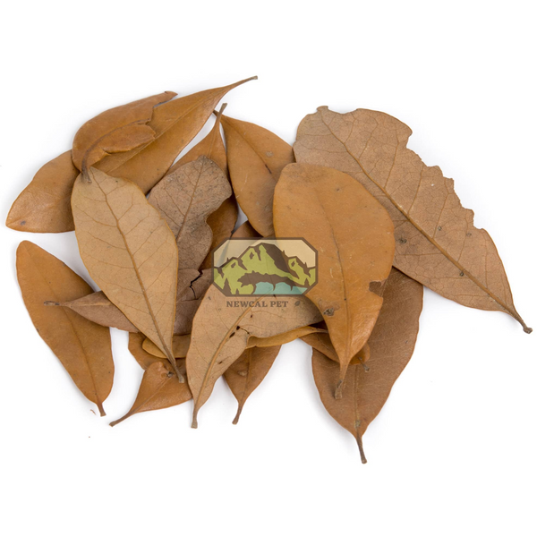 NewCal Pet Live Oak Leaf Litter 1.5oz