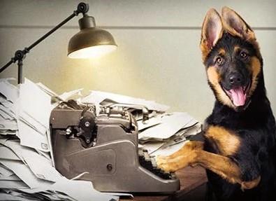 Avanti Dog on Typewriter Thank You Card