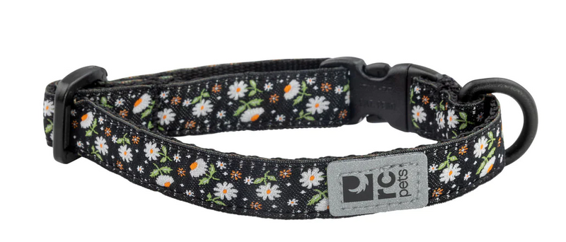 RC Pets Kitty Breakaway Collar - Daisies