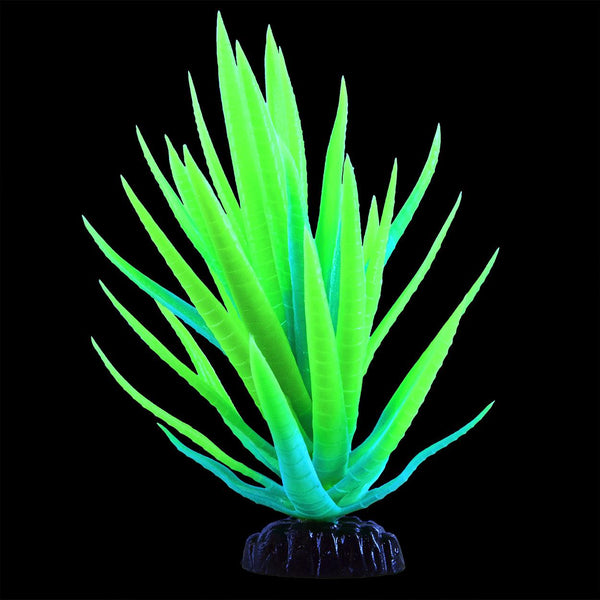 Underwater Treasures Glow Plants - Agave