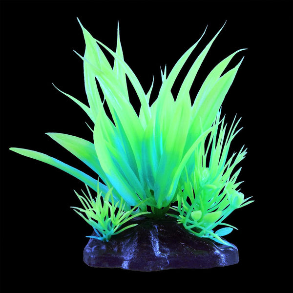 Underwater Treasures Glow Plants - Green Glow Star