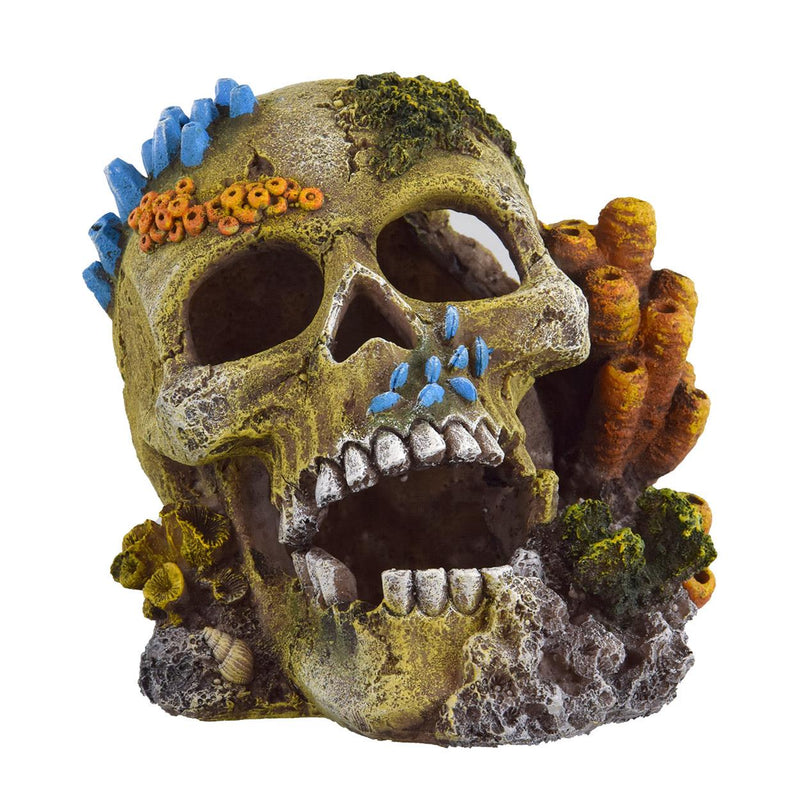 Underwater Treasures Reef Skull Ornament