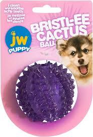 JW Pets Bristl-ee Cactus Ball