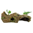 Underwater Treasures Log with Plants