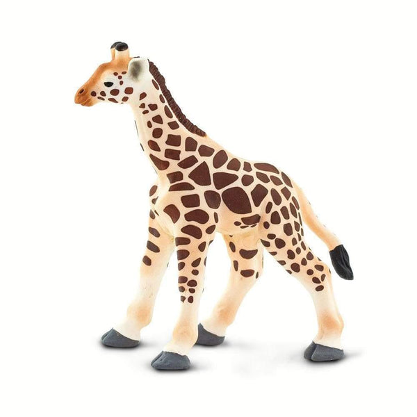 Safari Ltd. Giraffe Baby