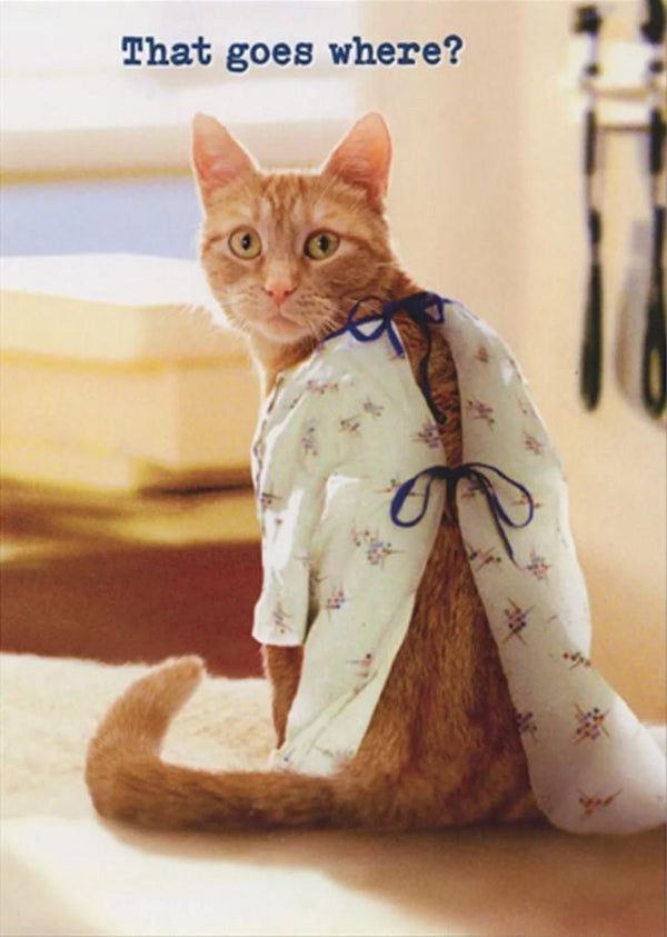 Orange Cat in Hospital Gown Get Better Soon Card