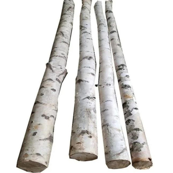 Jurassic Reptile Products - Birch Branch