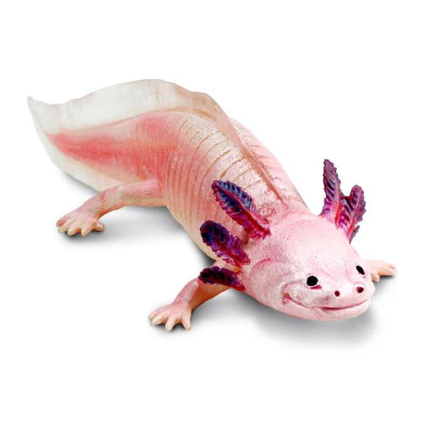 Safari Ltd. Axolotl